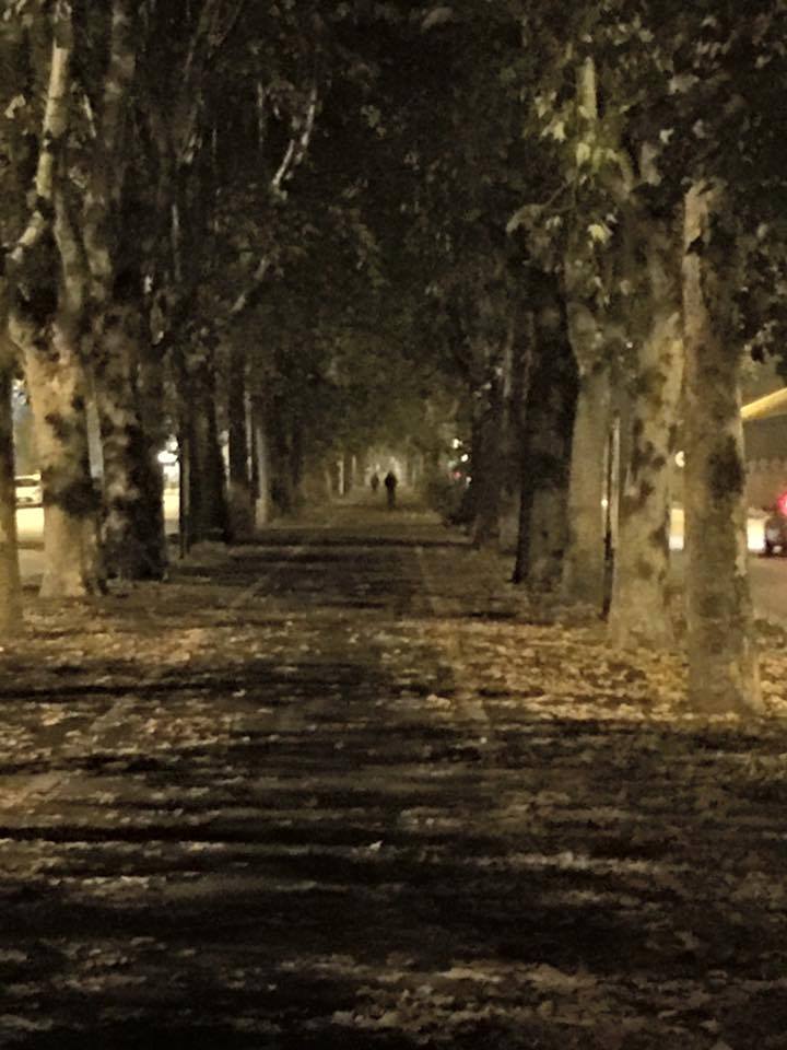 Dolci rimembranze notturne dei cari e suggestivi viali della circonvallazione di Alessandria — presso Spalto Gamondio. (foto Mauro Cappelletti)
